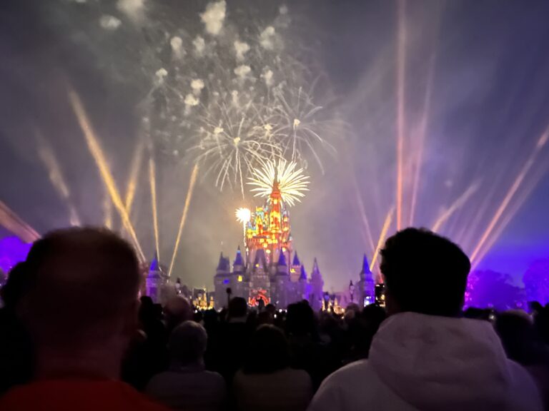 Where to Start When Planning a Disney Trip