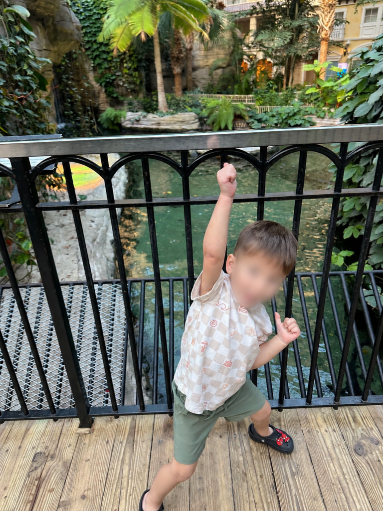 Gaylord Palms Orlando With Kids: Atrium Gators, Water Park & ICE!
